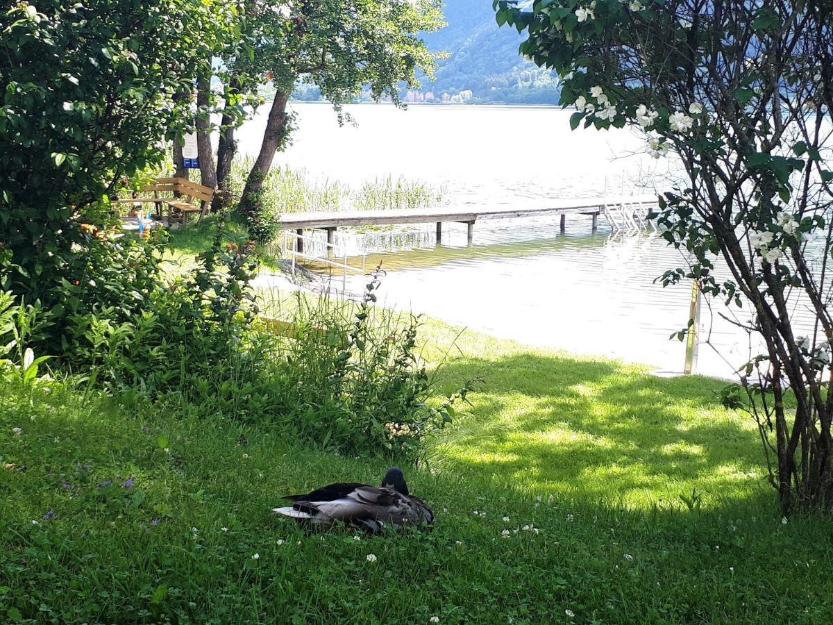 Maren Seeblick Appartement Haus Haensel&Gretel Direkt Am Ossiacher See Mit Hallenbad Skiarena Gerlitzen Stiegl Bagian luar foto